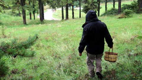 Un dels primers boletaires de la temporada a Capolat, al Berguedà