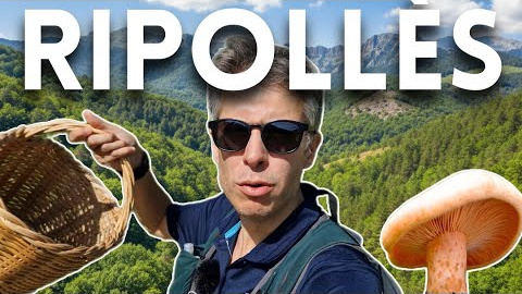 Bolets 2025, dia 1 al Ripollès