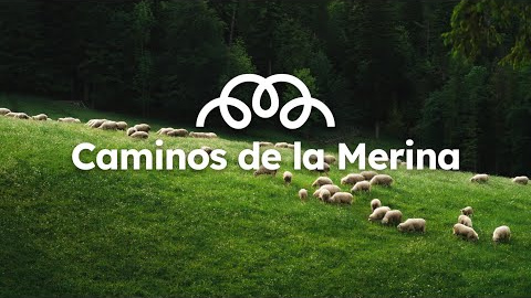 Uniendo territorios

Caminos de la Merina es una red colaborativa que conecta territorios, personas y proyectos vinculados a la oveja merina, a su historia milenaria, a su cultura pastoril y a su enorme potencial como motor turístico de desarrollo rural, sostenible y auténtico.

Nacida en Extremadura pero con vocación nacional e internacional, Caminos de la Merina busca visibilizar el legado de la trashumancia y activar los recursos del mundo rural a través de un enfoque contemporáneo que une turismo, gastronomía, artesanía, moda, naturaleza y tecnología.
