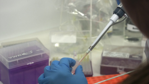 Una científica introduce líquido en una probeta (Archivo) Una científica introduce líquido en una probeta (Archivo)