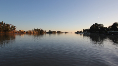 Estuario del Guadalquivir. Estuario del Guadalquivir.