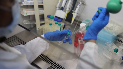 Una investigadora realiza estudios de laboratorio (Archivo).