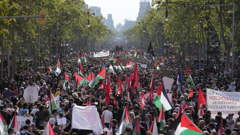 Manifestación convocada en apoyo a Palestina, este sábado, en Barcelona. Manifestación convocada en apoyo a Palestina, este sábado, en Barcelona.