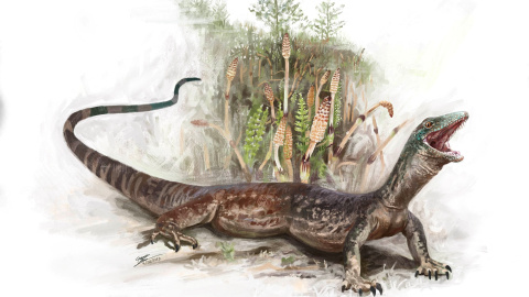 Reconstrucción del 'Breugnathair elgolensis', que poseía características tanto de lagartos como de serpientes, y vivió hace 167 millones de años, de acuerdo con los fósiles descubiertos en Escocia.