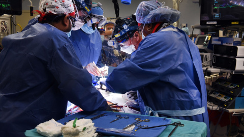 7 de enero de 2022, EE. UU., Baltimore: Un equipo quirúrgico trabaja para donarle a Dave Bennett, de 57 años y residente de Maryland, un corazón de cerdo modificado genéticamente. Esta cirugía, realizada en la Universidad de Maryland, marca la primera vez 7 de enero de 2022, EE. UU., Baltimore: Un equipo quirúrgico trabaja para donarle a Dave Bennett, de 57 años y residente de Maryland, un corazón de cerdo modificado genéticamente. Esta cirugía, realizada en la Universidad de Maryland, marca la primera vez que se utiliza un cerdo modificado genéticamente como donante de órganos. El paciente Bennett ha vivido tres días con un corazón de cerdo latiendo en su pecho tras un procedimiento de ocho horas. Foto: Facultad de la Universidad de Maryland/ZUMA Press Wire Service/dpaFacultad de la Universidad de Maryland/ZU / DPA07/1/2022 SOLO PARA USO EN ESPAÑA