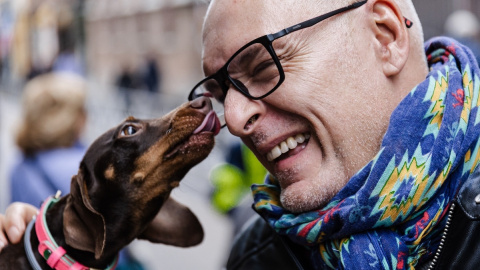 Un perro lame a su dueño durante la celebración del día de San Antón, a 17 de enero de 2024, en Madrid. Un perro lame a su dueño durante la celebración del día de San Antón, a 17 de enero de 2024, en Madrid.