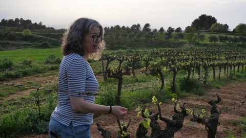 L'enòloga Anna Berenguer a les vinyes del celler cooperatiu d'Artés (Bages).