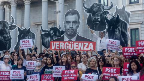ILP Tauromaquia Los firmantes de la ILP 'No es mi cultura' se manifestaron en el Congreso tras la abstención del PSOE que tumbó la iniciativa el pasado 7 de octubre.