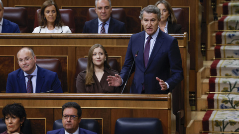 El líder del PP, Alberto Núñez Feijóo interviene durante la sesión de control al Ejecutivo que se celebra este miércoles en el Congreso, en Madrid.