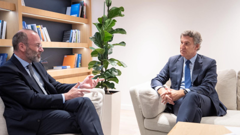 Imágenes de la reunión de Alberto Núñez Feijóo con el presidente del PPE, Manfred Weber