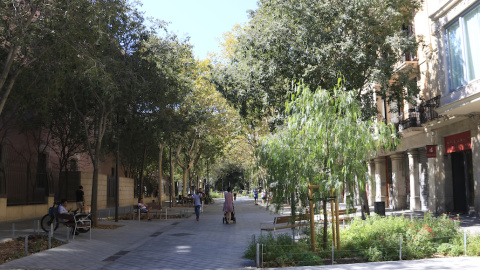 Imatge de l'eix verd del carrer Consell de Cent, a Barcelona. 10/2024 Imatge de l'eix verd del carrer Consell de Cent, a Barcelona.