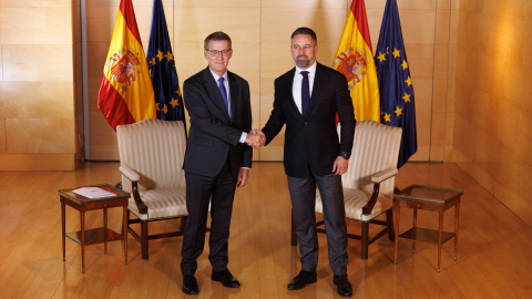 El lider del PP, Alberto Núñez Feijóo y el líder de VOX, Santiago Abascal. El lider del PP, Alberto Núñez Feijóo y el líder de VOX, Santiago Abascal.
