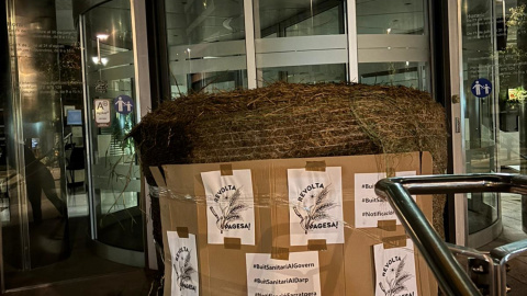 Bala de palla a les portes de l'oficina de Girona