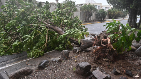 Fotografía de árboles caídos en una carretera debido al paso del huracán Melissa este martes, en Kingston (Jamaica) Fotografía de árboles caídos en una carretera debido al paso del huracán Melissa este martes, en Kingston (Jamaica).