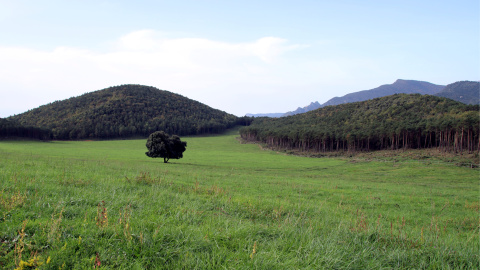 El pla de Clarà on es projecta el nou embassament