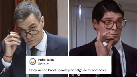 sanchez-senado Los tuiteros comentan el 'look' de Pedro Sánchez en la comisión del Senado.