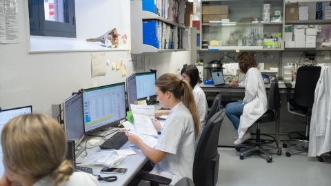 Investigadores del Hospital Clínic Varias personas trabajando en el laboratorio de investigación clínica del Hospital Clínic, en Barcelona.