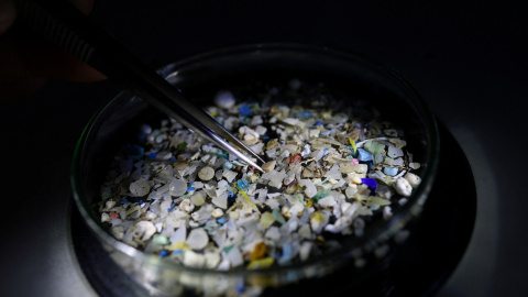 Fragmentos de microplástico recogidos de muestras de agua de mar en el Centro Helénico de Investigación Marina (HCMR), en Anavyssos, cerca de Atenas (Grecia). Fragmentos de microplástico recogidos de muestras de agua de mar en el Centro Helénico de Investigación Marina (HCMR), en Anavyssos, cerca de Atenas (Grecia).