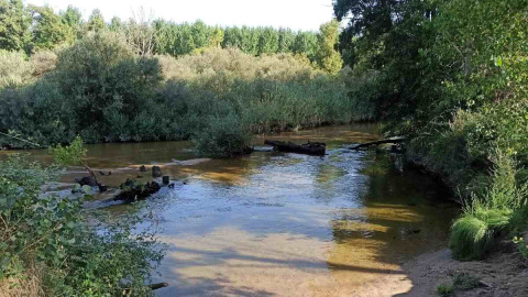 Ecologistas y vecinos denuncian a un ayuntamiento de Toledo por vertidos de aguas residuales al río Alberche