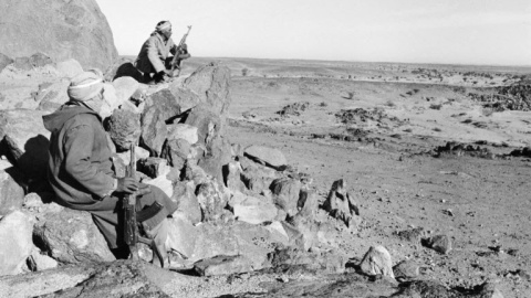 Miembros del Frente Polisario durante la guerra con Marruecos en 1981.