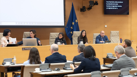 Comisión de la DANA en el Congreso Comisión de Investigación de la DANA en el Congreso de los Diputados.