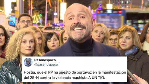 El diputado Jaime de los Santos hablando druante el 25N. El diputado Jaime de los Santos hablando druante el 25N.