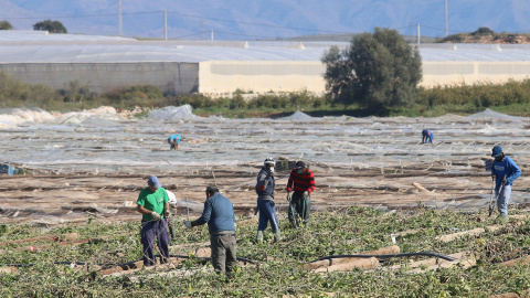 Fotografía de archivo de los invernaderos en Nijar (Almería). Fotografía de archivo de los invernaderos en Nijar (Almería).