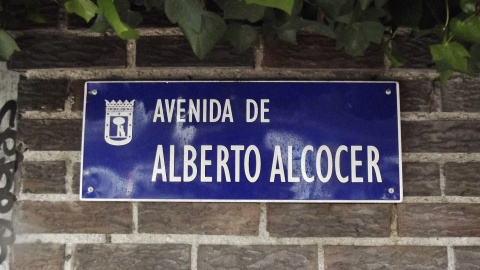 Avenida de Alberto Alcocer.