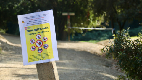 Cartell informant de zona infectada per la pesta porcina africana a Cerdanyola del Vallès.