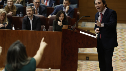 El diputado del PP, Francisco Alonso Bernal interviene en el pleno de la Asamblea madrileña.
