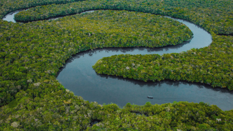 Una imagen del Amazonas en la película.