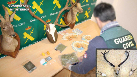 La Guardia Civil desmantela un punto de venta de cocaína en Liébana con tres detenidos y dos implicados en caza furtiva La Guardia Civil desmantela un punto de venta de cocaína en Liébana con tres detenidos y dos implicados en caza furtiva