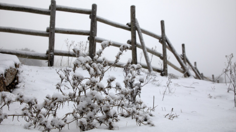 Nieve en el Puerto de Cotos, a 2 de diciembre de 2025, en Madrid.