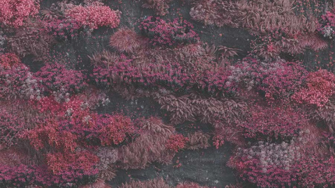 sleep-token-even-in-arcadia Even in Arcadia