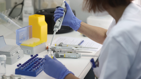 Foto de archivo de una científica trabaja en el Instituto de Toxicología de la Defensa. Foto de archivo de una científica trabaja en el Instituto de Toxicología de la Defensa.