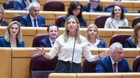Alicia García Imagen de archivo de la portavoz del PP en el Senado, Alicia García.