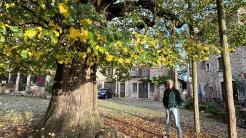 Un recorrido por los árboles más impresionantes de España