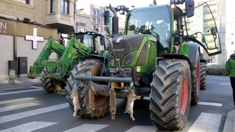 Un tractor amb quatre conills morts penjats a la tractorada contra la plaga de fauna salvatge pels carrers de Lleida Un tractor amb quatre conills morts penjats a la tractorada contra la plaga de fauna salvatge pels carrers de Lleida