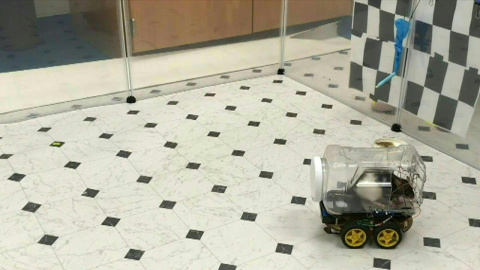 Científicos logran entrenar ratas para conducir diminutos vehículos | AFP