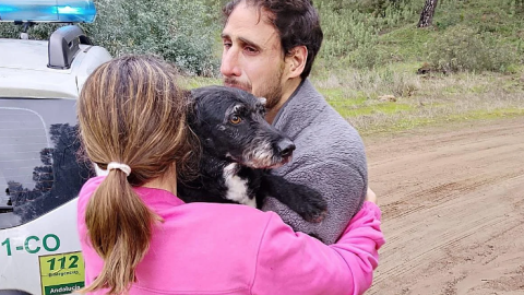 'Boro', el perro rescatado ayer por los bomberos andaluces. 'Boro', el perro rescatado ayer por los bomberos andaluces.