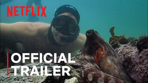 Tráiler oficial de 'Lo que el pulpo me enseñó' | Netflix Tráiler oficial de 'Lo que el pulpo me enseñó' | Netflix
