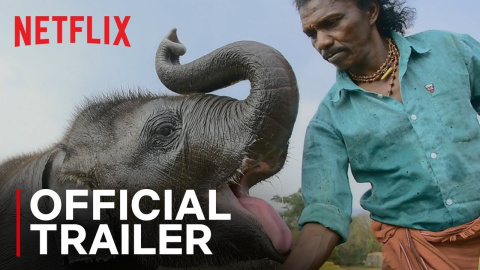 Tráiler oficial de 'Nuestro bebé elefante'| Netflix Tráiler oficial de 'Nuestro bebé elefante'| Netflix