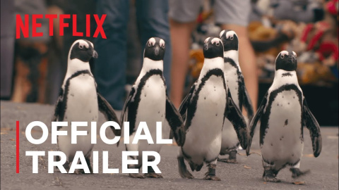 Tráiler oficial 'Colonia pingüino' | Netflix Tráiler oficial 'Colonia pingüino' | Netflix