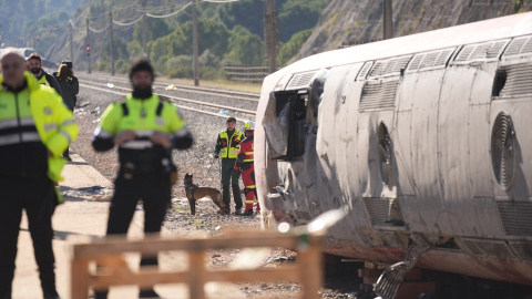 Los equipos de rescate trabajan sobre los trenes accidentados en Adamuz (Córdoba). Los equipos de rescate trabajan sobre los trenes accidentados en Adamuz (Córdoba).