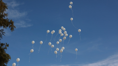 Amigos de la familia Zamorano fallecidos en el accidente de Adamuz, sueltan globos blancos, a 22 de enero de 2026, en Huelva. Amigos de la familia Zamorano fallecidos en el accidente de Adamuz, sueltan globos blancos, a 22 de enero de 2026, en Huelva.