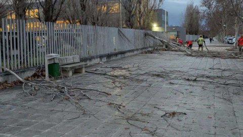 Árboles caídos y parques precintados en Toledo y Talavera ante un temporal que mantiene en vilo a la provincia Árboles caídos y parques precintados en Toledo y Talavera ante un temporal que mantiene en vilo a la provincia