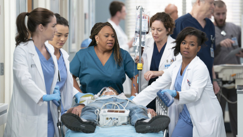 'Anatomia de Grey' estuvo en emisión durante 22 temporadas. 'Anatomia de Grey' estuvo en emisión durante 22 temporadas.