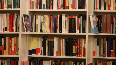 Libros colocados en una estantería de la librería 'Tipos Infames' en Madrid. Libros colocados en una estantería de la librería 'Tipos Infames' en Madrid.