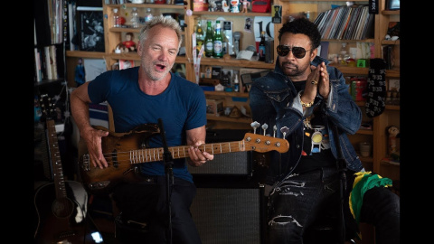 Sting And Shaggy: NPR Music Tiny Desk Concert Sting And Shaggy: NPR Music Tiny Desk Concert