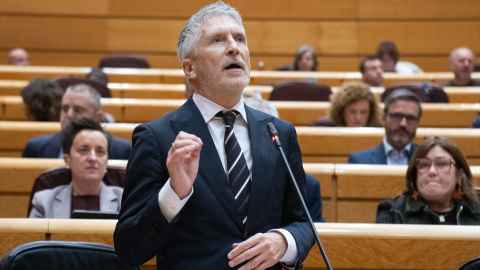 El ministro del Interior, Fernando Grande-Marlaska, durante una sesión plenaria en el Senado.